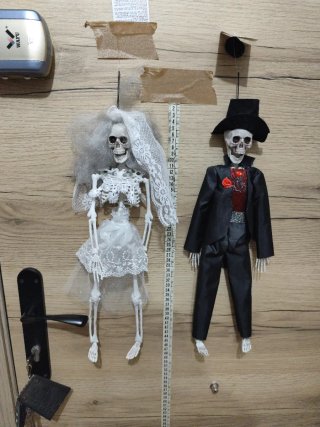 Lote Novios Halloween