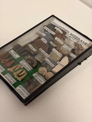 Colección Minerales y Fósiles