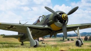 Maqueta Fw 190A-5 1:48 ProfiPACK Eduard 8174