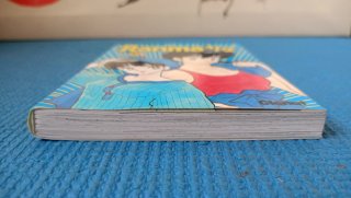 Manga Ranma 31