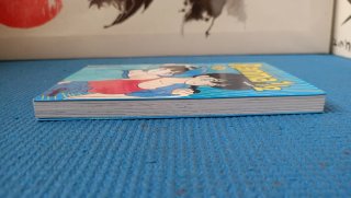 Manga Ranma 31