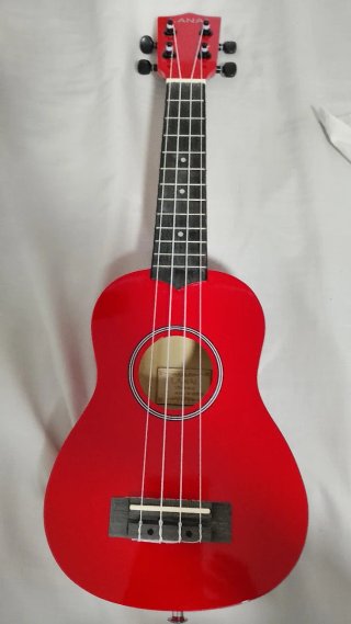 Funda y Ukelele LANAI