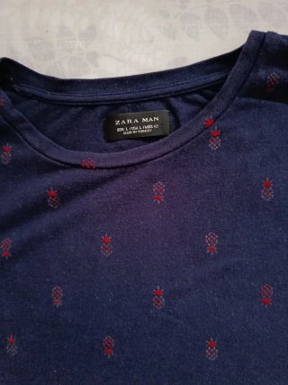 Camiseta Zara Man Estampada Azul y Roja