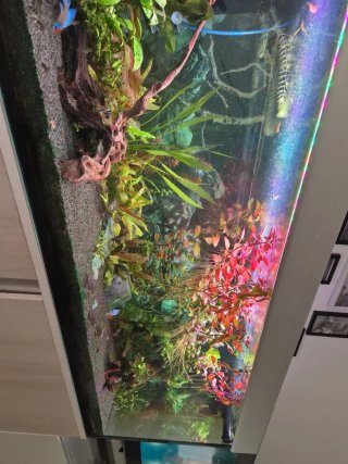 Acuario eheim próxima 330l