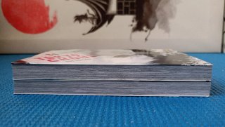 Manga Tokyo Ghoul 13 y 14