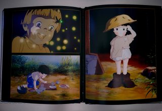 La Tumba de las Luciérnagas Blu-ray y DVD