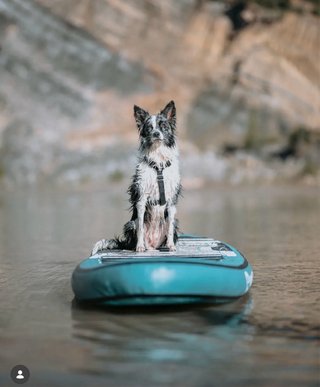 Tabla Paddle Surf WOWSEA