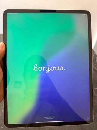 iPad Pro 12.9 256GB Wi-Fi + Cellular