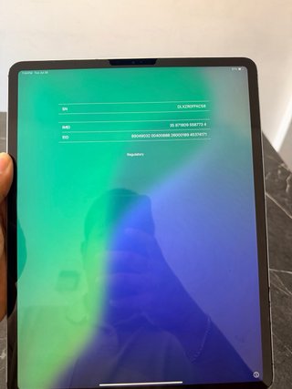 iPad Pro 12.9 256GB Wi-Fi + Cellular