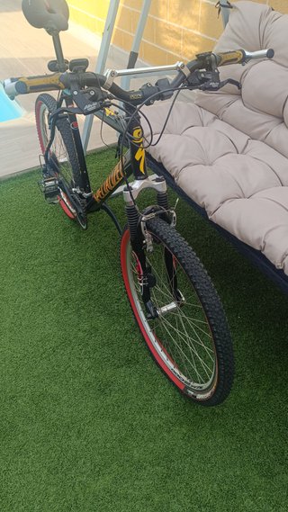 Specialized Epic Carbono Retro (90s)
