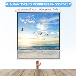 Beamer Leinwand 178 x 178 cm 99 Zoll 1:1 HD 4K Pro