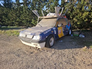 Peugeot 205 rallye 1992