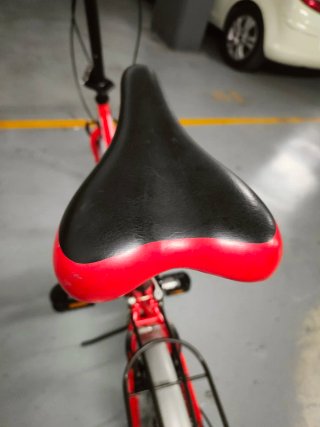 Bicicleta plegable F-Park 20