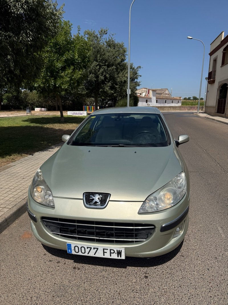 Peugeot 407 2007 - foto 1