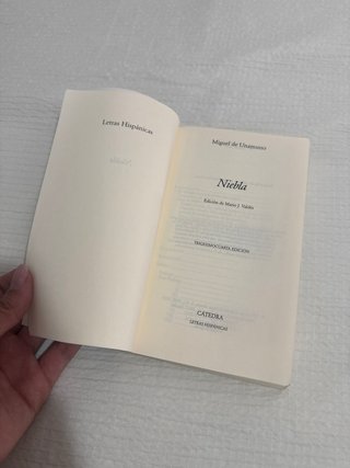 Niebla