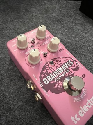 tc electronic Brainwaves Pitch Shifter Pedal