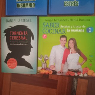 Lote 6 libros (cocina, insomnio, estres ...)