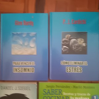 Lote 6 libros (cocina, insomnio, estres ...)
