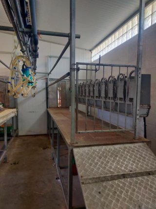 Sala de ordeño para cabras