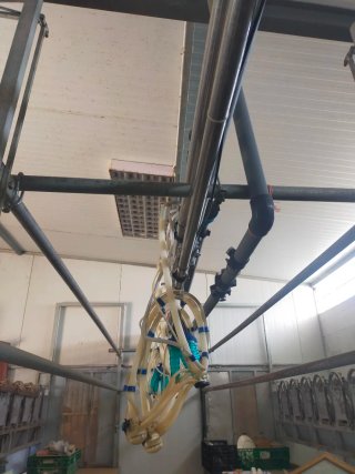Sala de ordeño para cabras