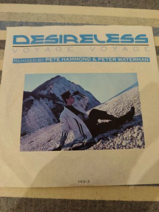 Desireless Voyage Voyage 7 Single Vinilo