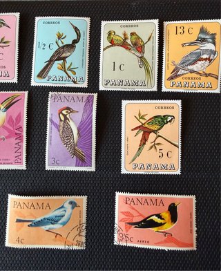 12 Sellos Panamá 1967 temática aves