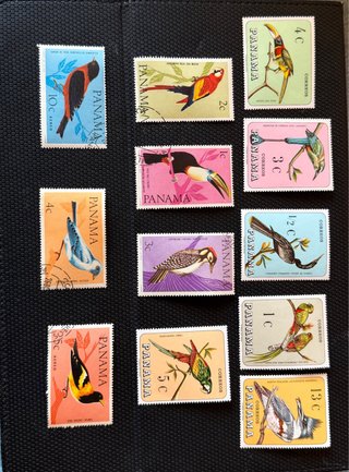 12 Sellos Panamá 1967 temática aves