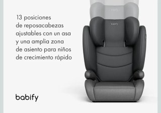 Babify Silla Coche FlexiFit Basic Negra