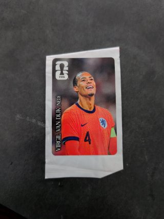 Cromo Mundial 2026 Van Dijk (NED)