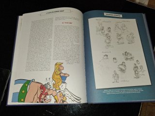 Libro de Astérix