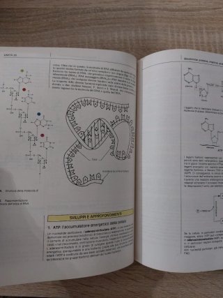 Chimica. Per le Scuole superiori anni '90