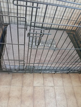 Jaula Perro Mediano/Grande Negra