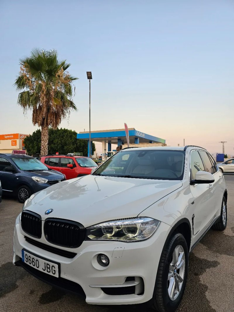 BMW X5 sDrive 25d (F15) 2015