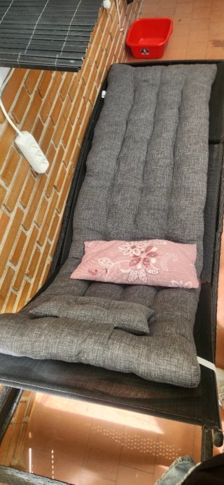 Tumbona de resina trenzada y metal para piscina
