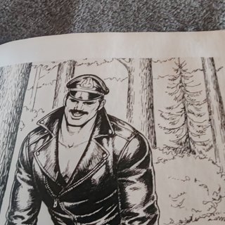 The Little Book of Tom of Finland Cops and Robbers