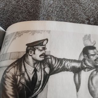 The Little Book of Tom of Finland Cops and Robbers