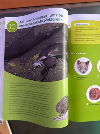 BIOLOGIA, GEOLOGIA ETA INGURUMEN ZIENTZIAK 1 BT...