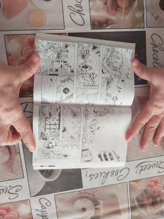 Manga Bola de drac super  en castellano