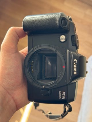 Canon EOS 5000 + Lente 80-200mm
