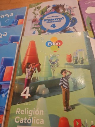 Lote  4º Primaria – En perfecto estado