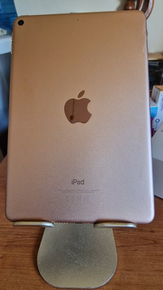 iPad mini 5 (A2133) 64 GB Oro – Como Nuevo