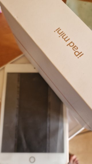 iPad mini 5 (A2133) 64 GB Oro – Como Nuevo
