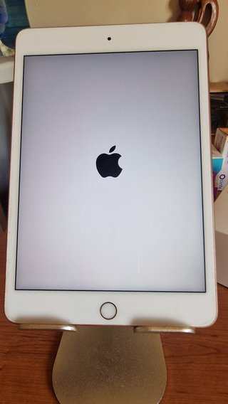iPad mini 5 (A2133) 64 GB Oro – Como Nuevo