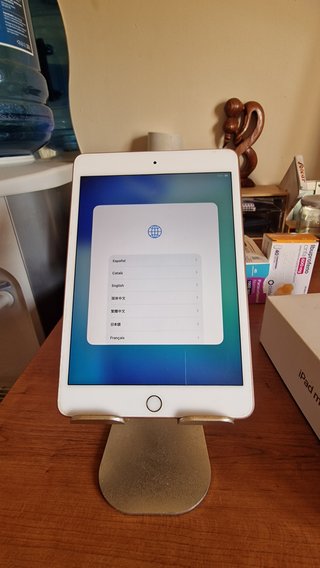 iPad mini 5 (A2133) 64 GB Oro – Como Nuevo