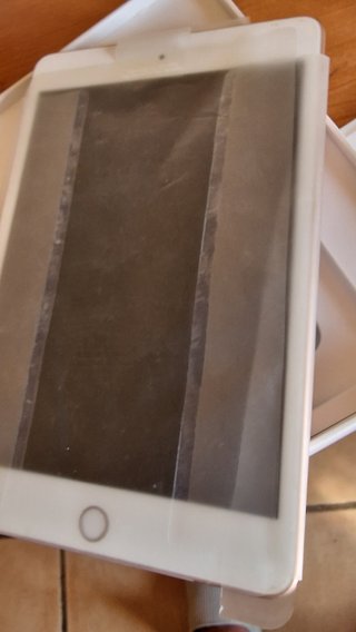 iPad mini 5 (A2133) 64 GB Oro – Como Nuevo