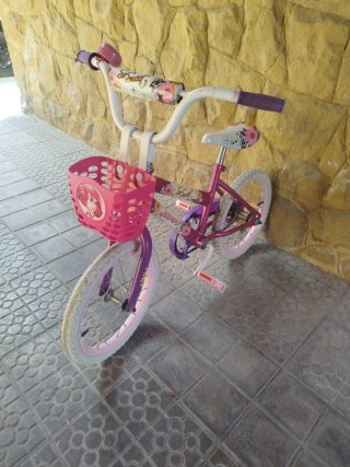 Bicicleta infantile viola e rosa, per bambina