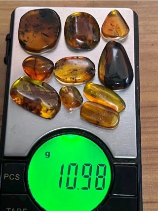 Fósiles ámbar con inclusión. Lote 10 piezas.
