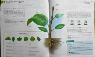 Biology and Geology, 1 Secondary