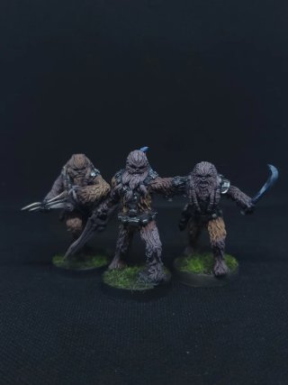 Star Wars Legion Wookies