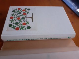 Borges, Literatura fantástica